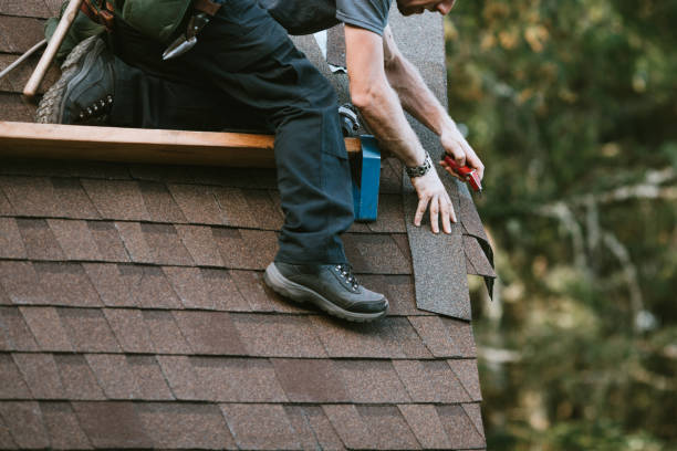 Best Roof Maintenance Services  in Derry, PA